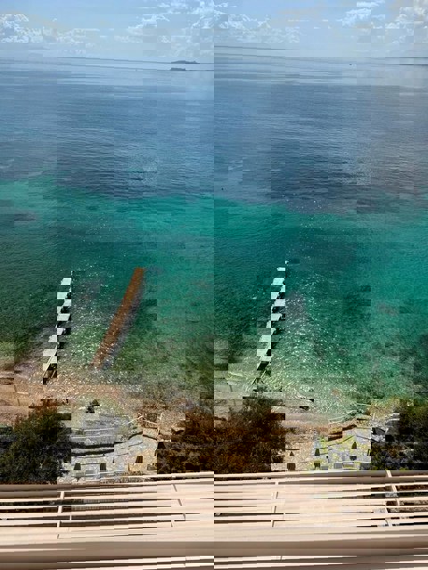 PHOTO-2025-04-20-14-35-16_480x640